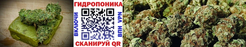 Canna-Cookies марихуана  blacksprut ссылка  Яхрома 