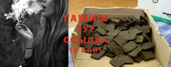 стаф Вязьма
