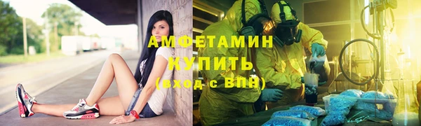 стаф Вязьма