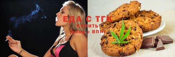стаф Вязьма