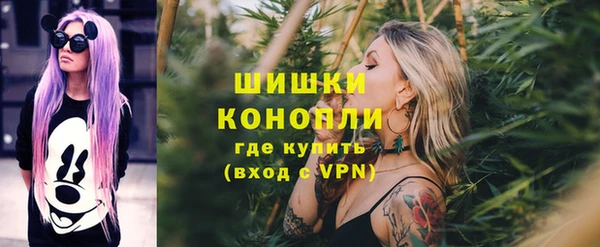 стаф Вязьма