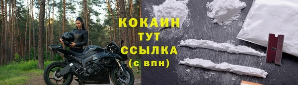 стаф Вязьма