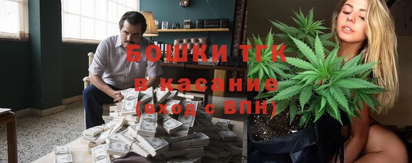 стаф Вязьма
