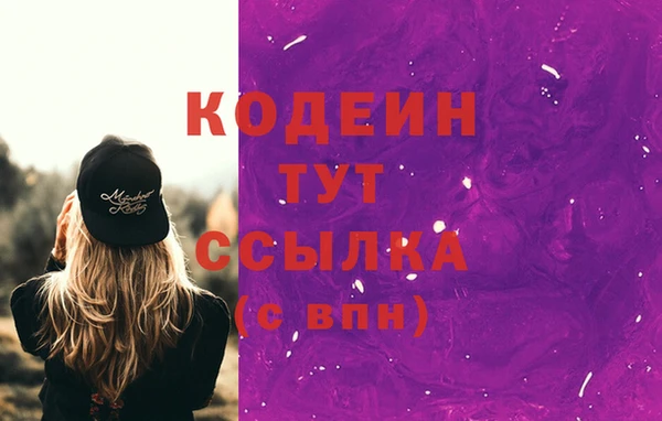стаф Вязьма