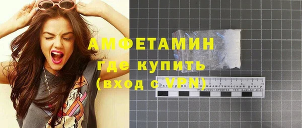 стаф Вязьма