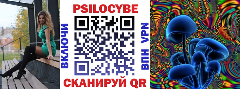 Псилоцибиновые грибы Psilocybe  Яхрома 